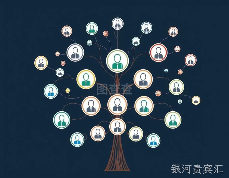 网络营销选购指南:掌握在线营销的钥匙